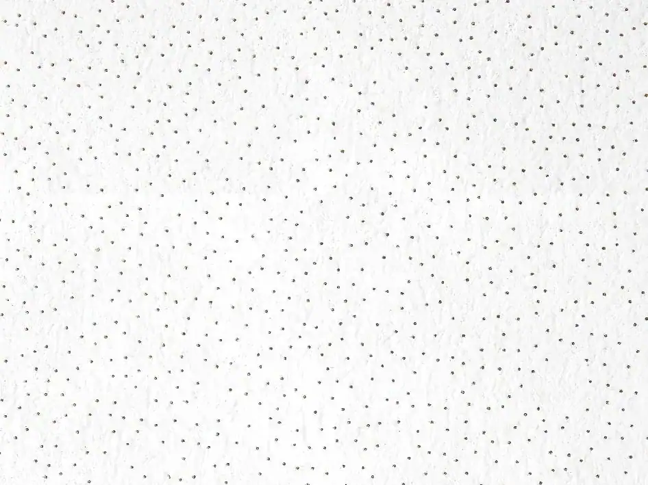 C-STAR Mineral wool ceiling2